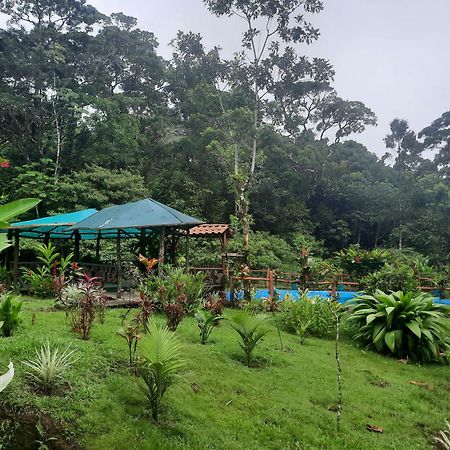 Oski Lodge, Rain Forest Rincon De La Vieja Upala Eksteriør bilde