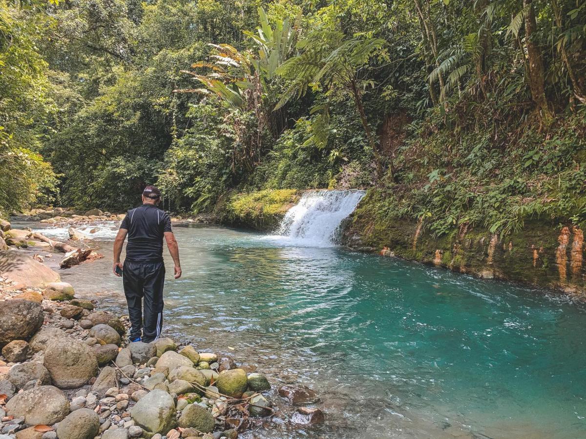 Oski Lodge, Rain Forest Rincon De La Vieja Upala Eksteriør bilde