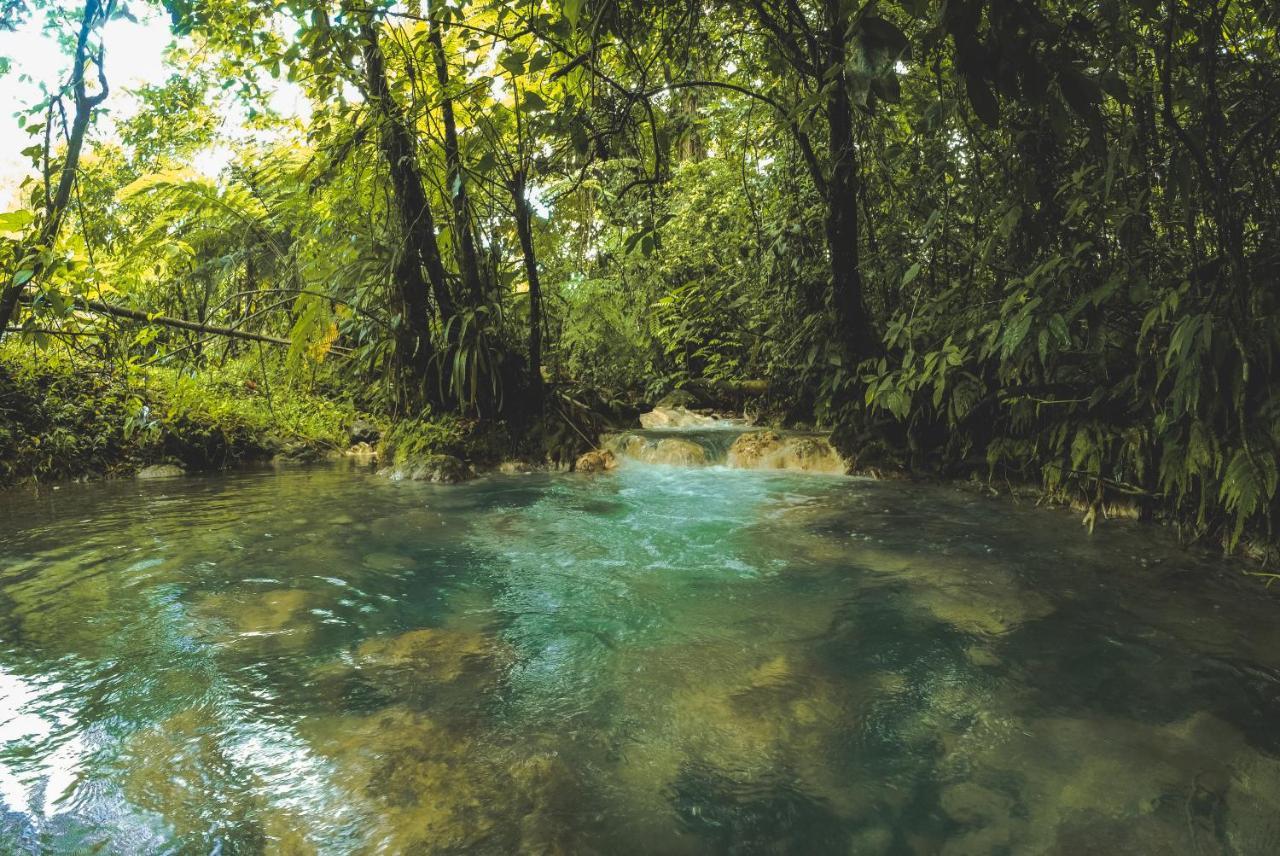 Oski Lodge, Rain Forest Rincon De La Vieja Upala Eksteriør bilde