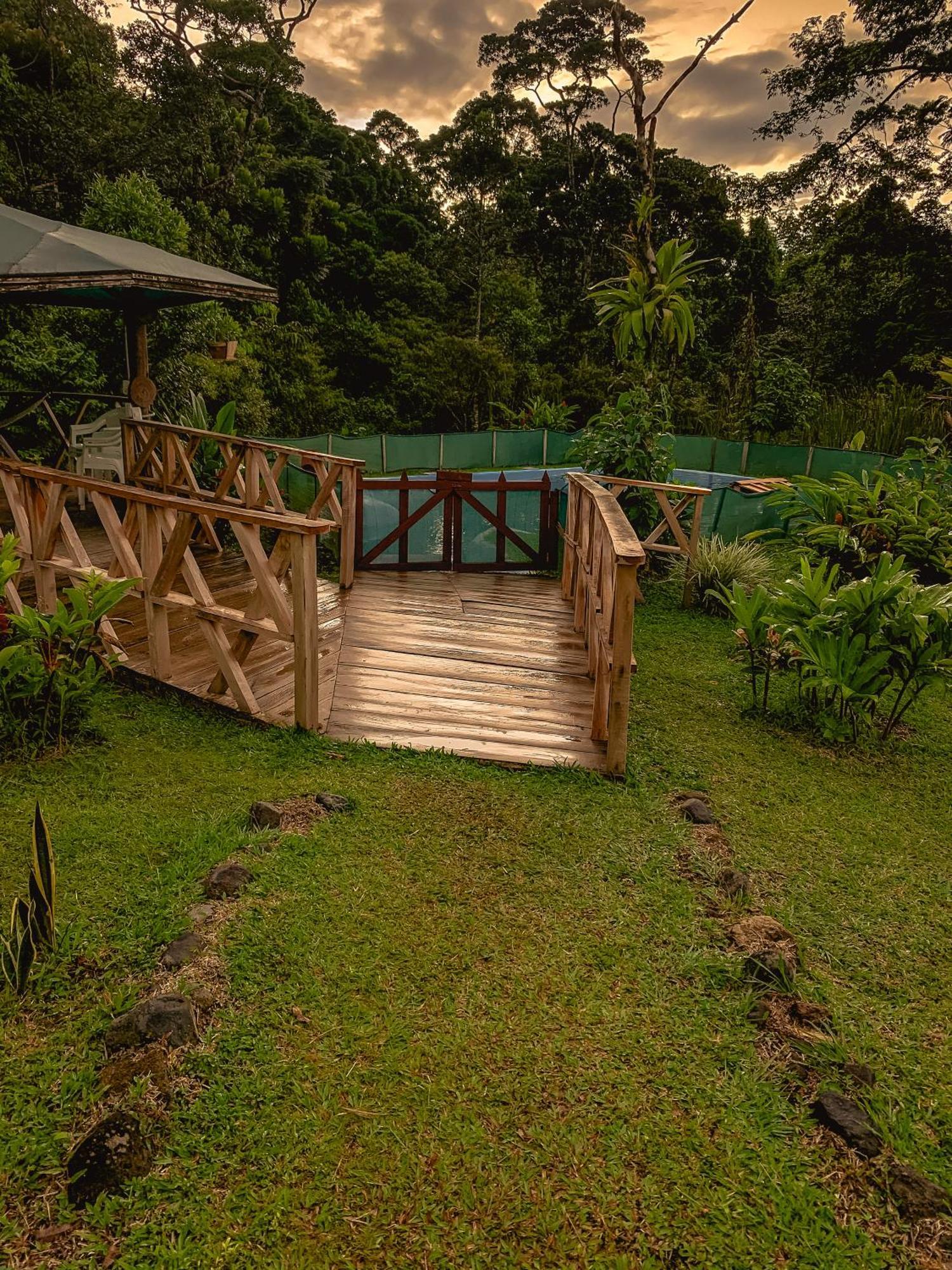 Oski Lodge, Rain Forest Rincon De La Vieja Upala Eksteriør bilde