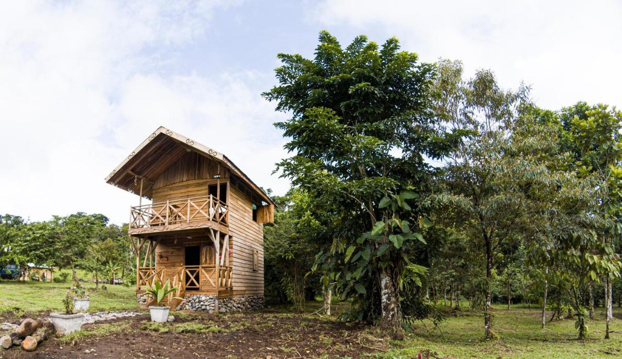 Oski Lodge, Rain Forest Rincon De La Vieja Upala Eksteriør bilde