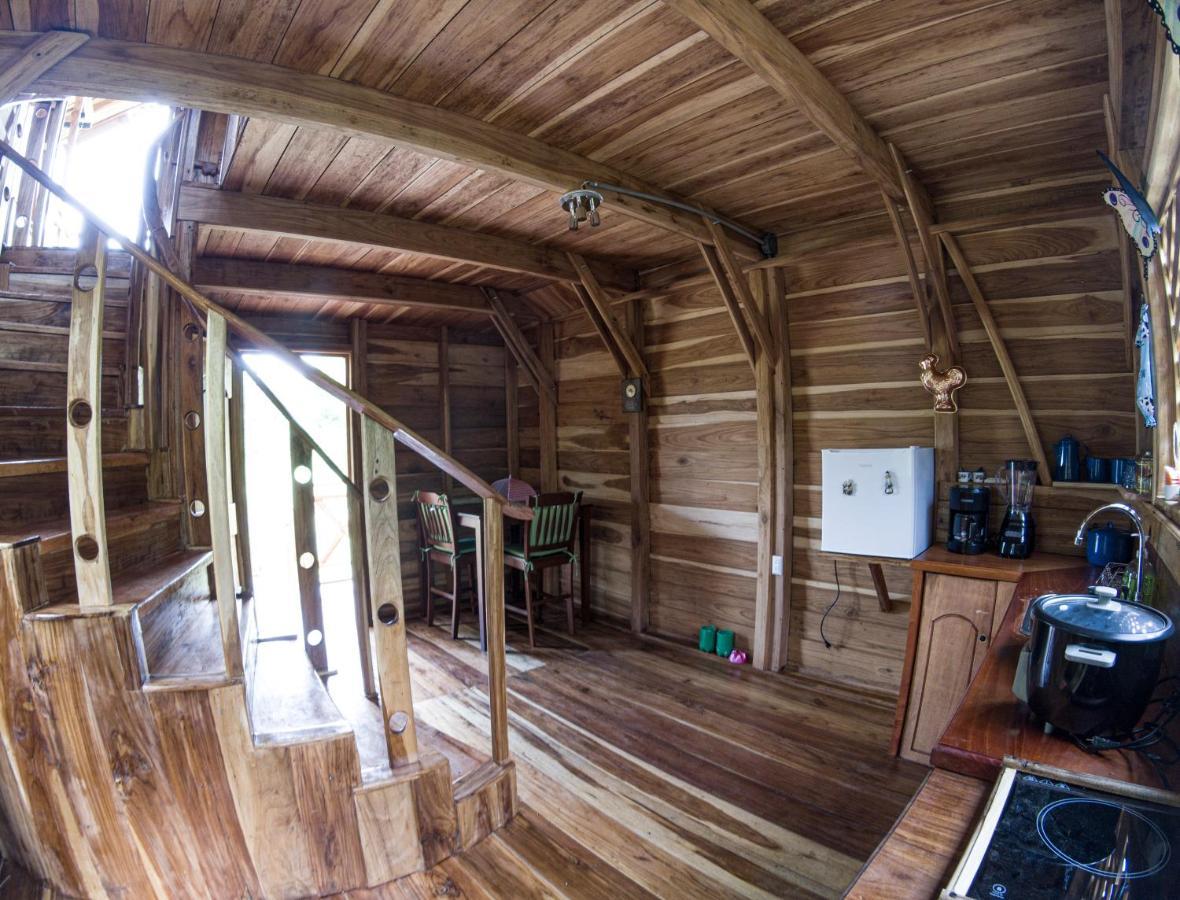 Oski Lodge, Rain Forest Rincon De La Vieja Upala Eksteriør bilde