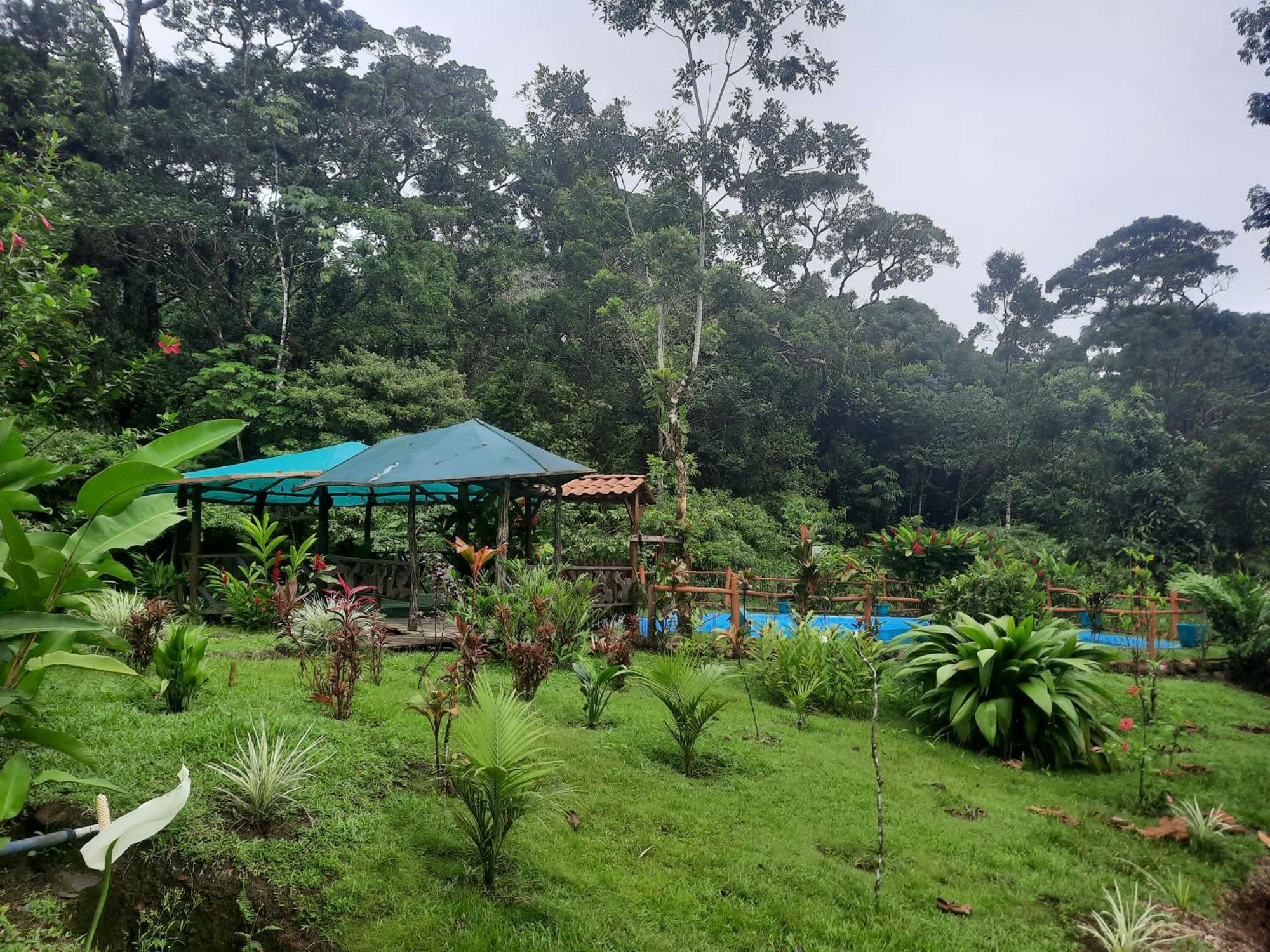 Oski Lodge, Rain Forest Rincon De La Vieja Upala Eksteriør bilde